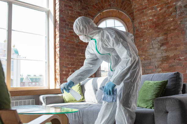 Professional Mold Removal in Lightstreet, PA